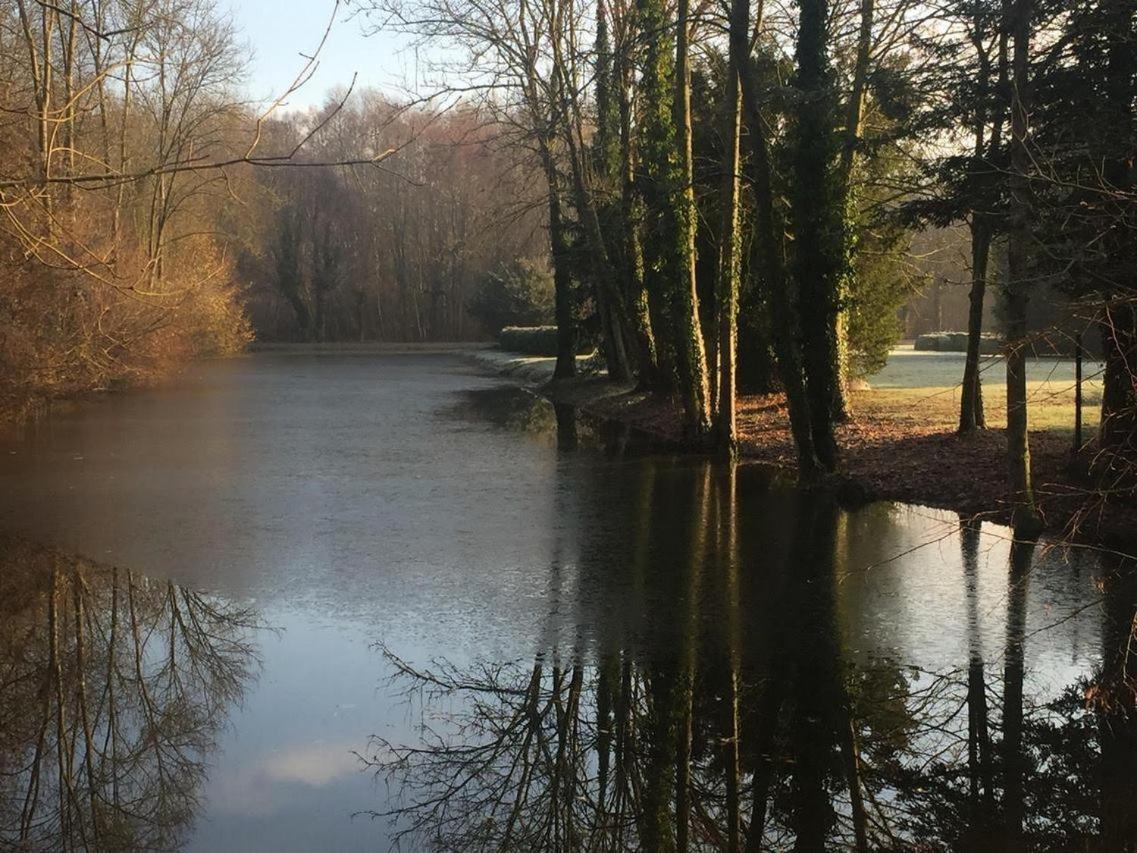 Chateau De Vitry-La-Ville Экстерьер фото